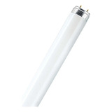 Tubo Fluorescente Philips Tl 20w/54 60 Cm Luz Fría X5 Unid.