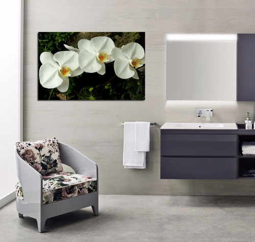 Cuadro 30x45cm Orquideas Blancas Flor Life Decora Baño Vida