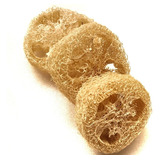  10 Discos Exfoliantes Vegetales Luffa 