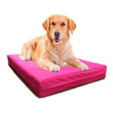 Colchón Impermeable Perros Grandes 100x70 Con Funda Lyon Pet