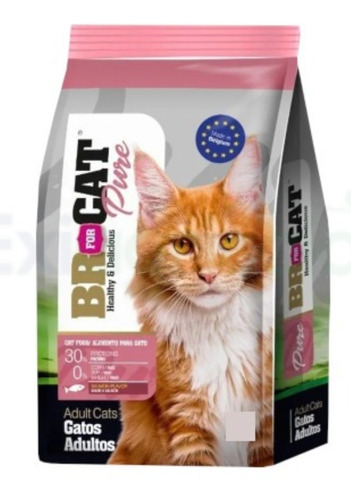 Br For Cat Salmón 1 Kg 