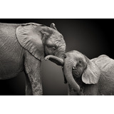 Elefantes Mama E Hijo Emoción Cuadro Canvas Con Marco 60x90