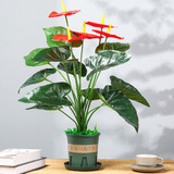 Planta Artificial Decorativa