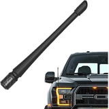 Antena Short Ford F150 Raptor 2009-2021  - Ranger Raptor  Rp