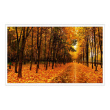 Quadro Decorativo Paisagem Natureza Outono Folhas Gg