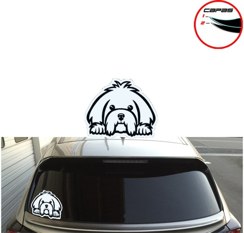  Sticker Pets Perros Portalon Puerta Maleta Vidrio  Auto