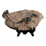 Adorno Esqueleto Escultura Fosil Dinosaurio Casa Oficina