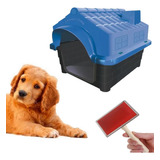 Kit Casinha Pet Proteção Uv N3 Azul + Rasqueadeira Tira Pelo