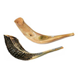 Shofar Chifre De Carneiro De Tocar - De Israel