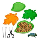 Suruikei 4 Unids Hoja Reptil Alimentos Agua Plato Plato P