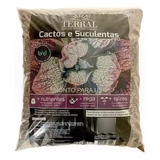 25l - Substrato Suculentas Pro Terral  - Suculenta, Cactos