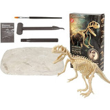 Jurásico Animal Dinosaurio Esqueleto Fósil Juguete