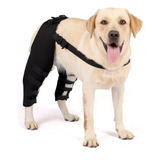 Protector De Patas Traseras Para Perro Mascota, Rodillera Aj