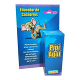 Pipí Aquí Educador Para Cachorros