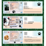 Plantilla Registro Diseño Carnet Chileno, Mascotas