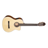 Guitarra Clasica Criolla Cort Ac120 Ce