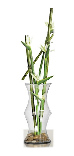 Vaso Cana Bambu Planta Ø13x29cm Vidro Decoração De Mesa/sala