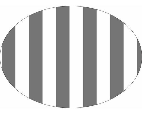 Individual Ovalado Grueso Pvc Flexible Impermeable (x6 Unid)