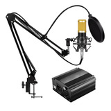 Kit Microfono Profesional Condenser Gadnic + Brazo + Phanton