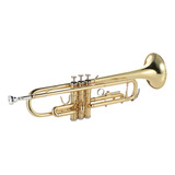 Brass Instruments, Trompeta Plana, Caja En Si Bemol, Boquill