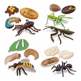 Figuras De Animales - Toymany - 16 Figuras De Insectos, Cicl