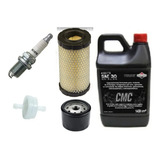 Kit 1 Filtro Nafta Aire 793569 Aceite Bujia Briggs&stratton