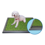 Alfombra Sanitaria Bandeja Perros Tricapa Pasto+antih. 46x64