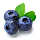 30 Sementes De Blueberry - Mirtilo - Fruta Para Vasos