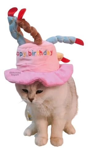 Gorro Cumpleaños Feliz Mascotas Perro Gato