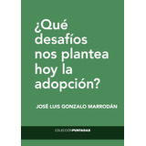 ¿qué Desafíos Nos Plantea Hoy La Adopción?