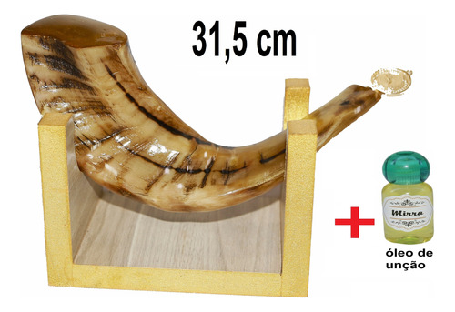 Shofar De Chifre De Carneiro De Ungir/unção + Suporte 22