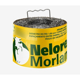 Arame Farpado Galvanizado Rolo Com 250 Metros Nelore  Morlan