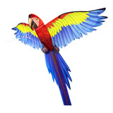 Barrilete Guacamayo Popup Ef3dparrot Color Rojo