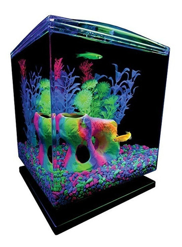 Kit El Glofish Acuario W / Capucha, Luces Led Y Filtro Whisp