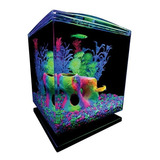 Kit El Glofish Acuario W / Capucha, Luces Led Y Filtro Whisp