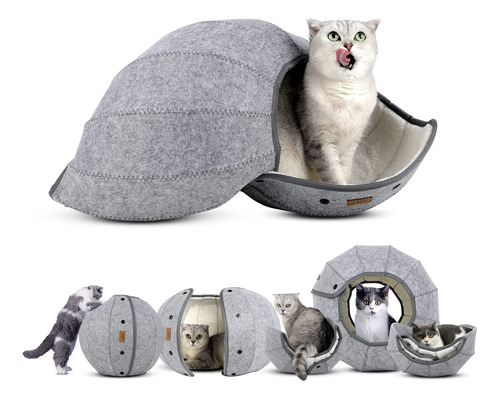 Amj K1 Cute Shell Cat Bed House Interior, Juguetes Para Gato