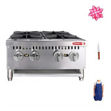 Parrilla A Gas En Acero Inoxidable  Torrey Pat-4qg + Regalos