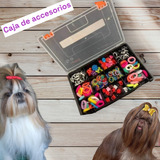 Accesorios Mascotas