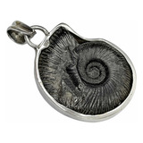 Ammonite Fosil Genuino Dije Hecho En Plata