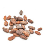 Semilla De Cacao Granel 3 Kilogramos Chiapas