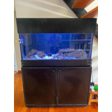 Acuario Marino Completo 120x50x40 Con Mueble