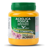 Tinta Acrílica Fosca Artesanato Acrilex 250ml Ótima Cobertur Cor Amarelo Cádmo