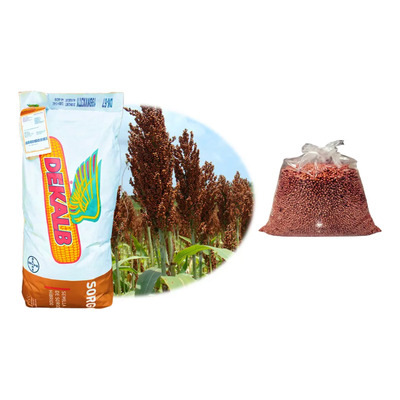 Semilla Hibrida De Sorgo Dk 67 Para Grano 5kg | Envío gratis
