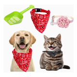 Kit Para Mascotas Razas Pequeñas Moño, Pala Limpieza Collar 