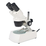 Microscopio Estéreo Binocular Frontal Xt