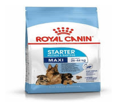 Royal Canin Maxi Starter X 10kg