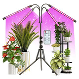 Grow Light Con Soporte, Frenan Grow Lights Para Plantas De I