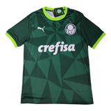 Camisa Puma Palmeiras Oficial I 2023 Torcedor Masculina 