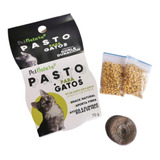 Kit Completo De Pasto Para Gatos