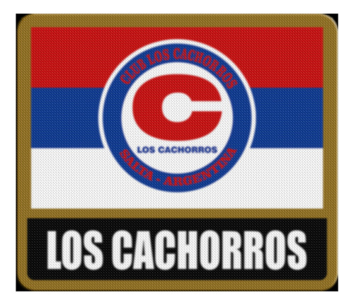 Parche Termoadhesivo Flag Los Cachorros Salta